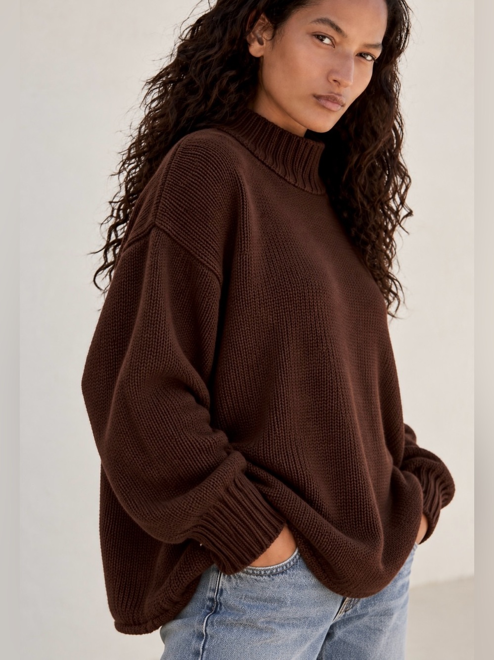 J. Crew Rollneck Brown Heavy Knit Sweater XL